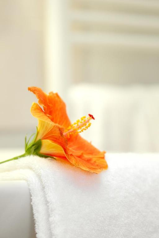 Hotel Le Clos Roussillon Pres De Sarlat Vitrac  Room photo